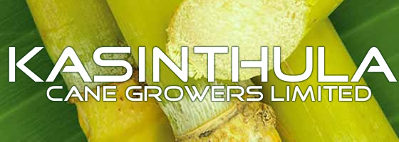Kasinthula Cane Growers banner with cane